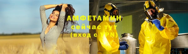 крисы Бронницы