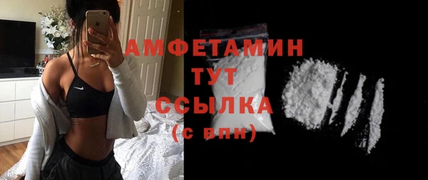 крисы Бронницы