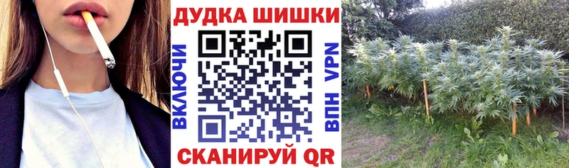 Каннабис план  Каменка 